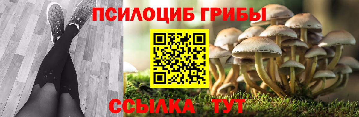 Галлюциногенные грибы GOLDEN TEACHER  Псилоцибиновые грибы мухоморы  Вход с VPN  Сарапул 